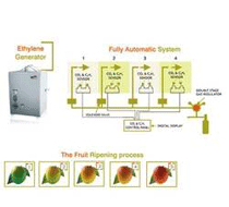 fruit processing equipments supplier